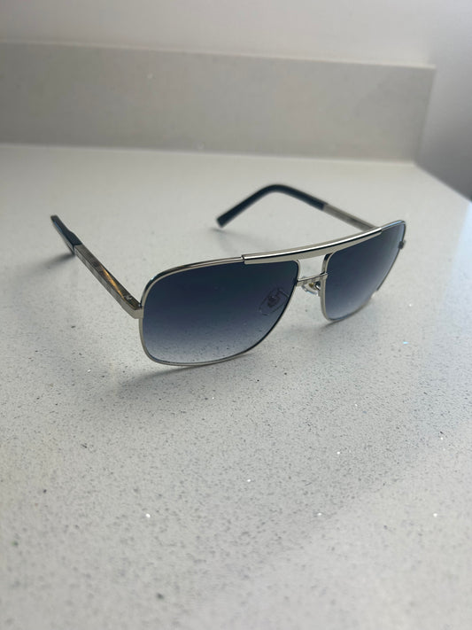 Titan “Silver” Sunglasses