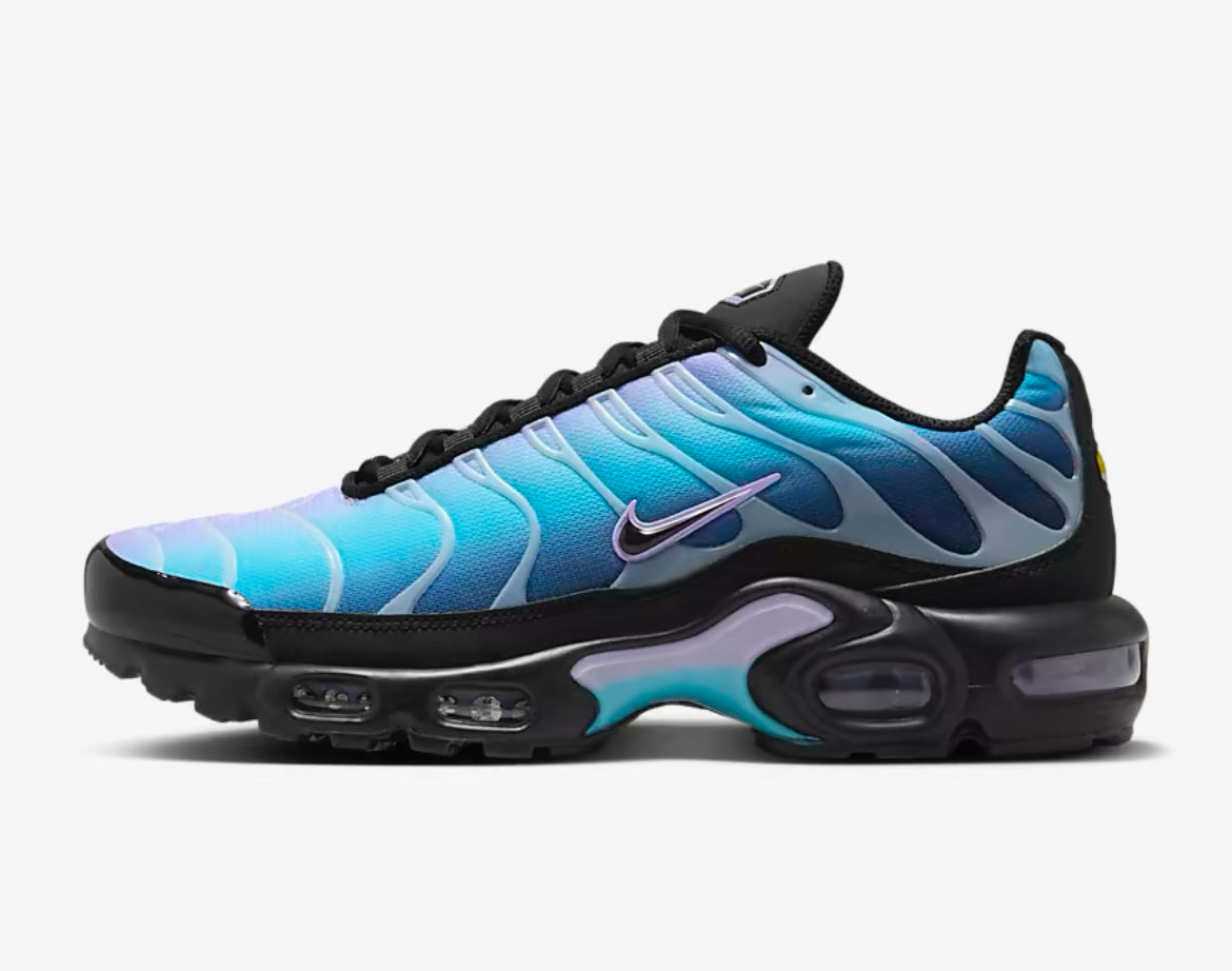 Nike Air Max TN Aqua Grape