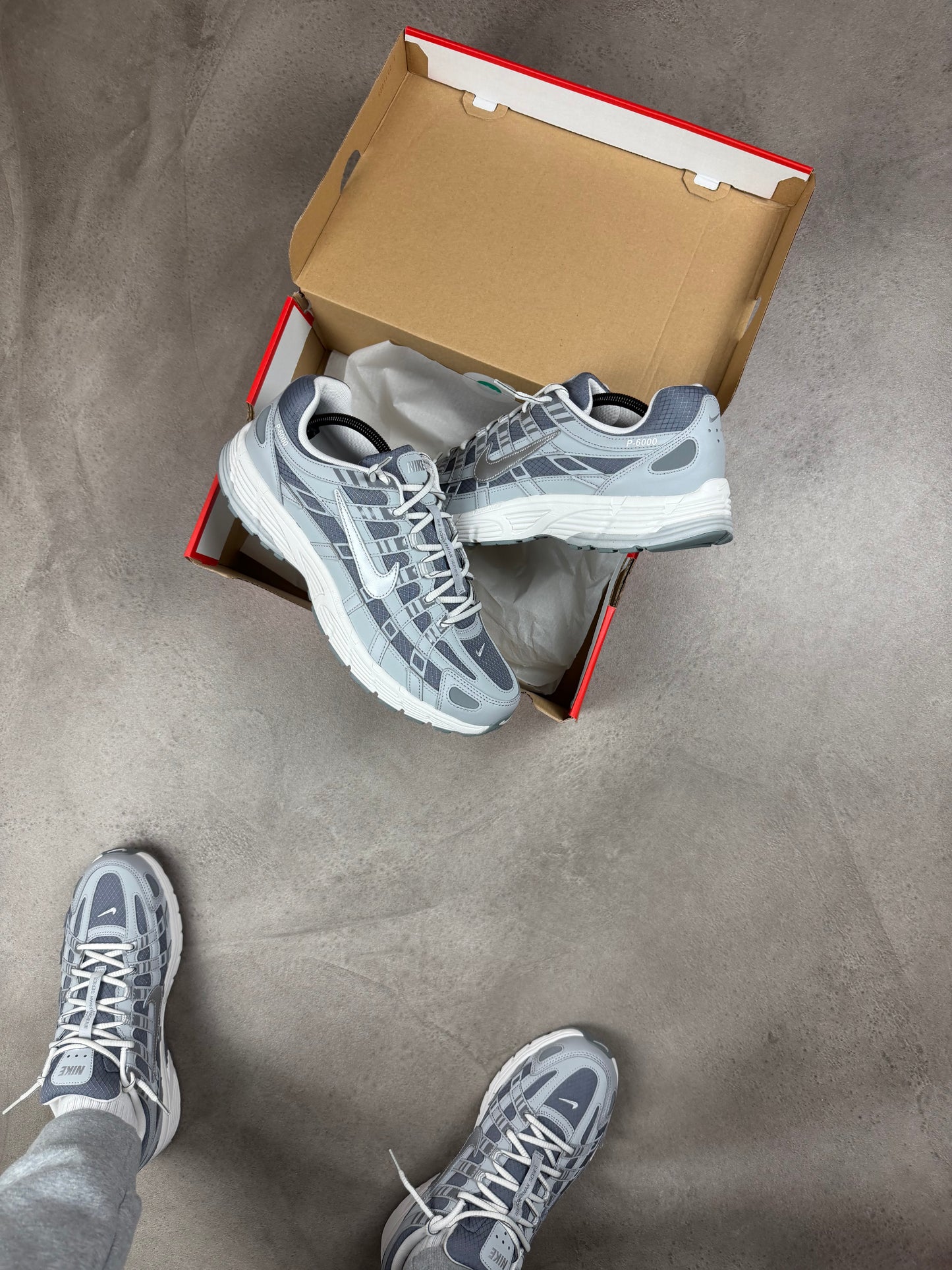 Nike P6000 Metallic Grey