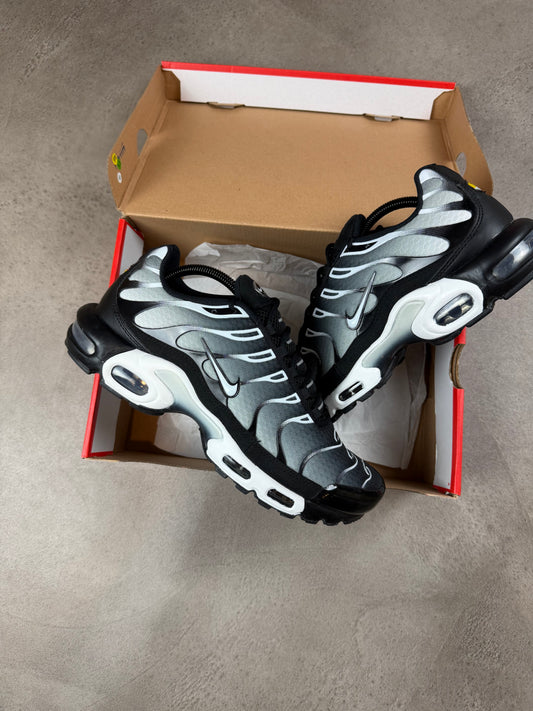 Nike Air Max TN Smoke Grey
